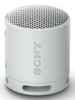Sony SRS-XB100 - Speaker Wireless Bluetooth, portatile, leggero, compatto, da esterno, da viaggio, resistente IP67 impermeabile e antipolvere, batteria da 16 ore, cinturino versatile, chiamate in vivavoce - Grigio
